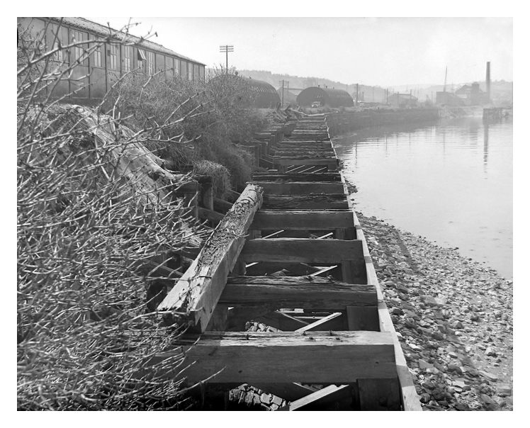 1950's - Another view upstream showing in detail a section of the decaying timber shoring structures that lined the southern bank of the River Ely.