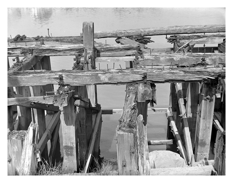 1950's - lower images - A view which illustrates the effects of half a century of River Ely weather and tides have on timbers. Just look at the size of those nails and the cracked and rotting baulks! 