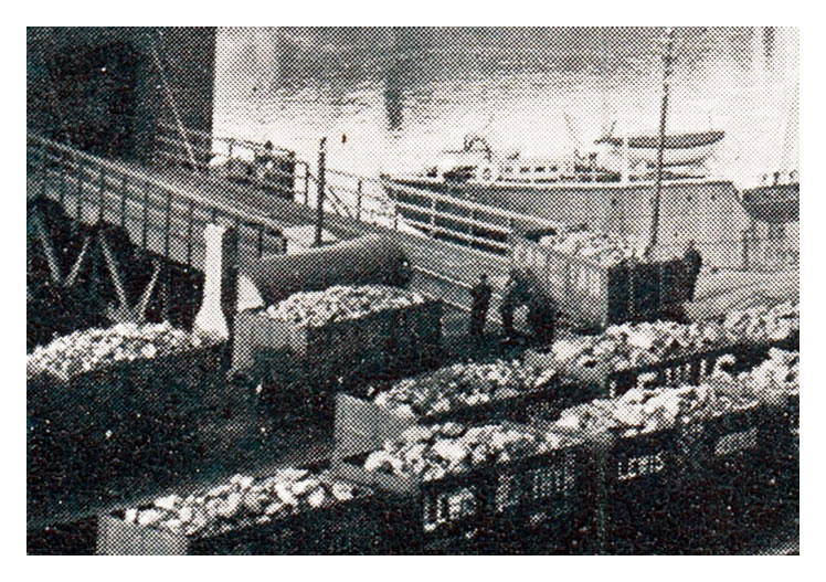 Penarth Dock - Coal Tips - c.1900 - Coal tip No. 12.