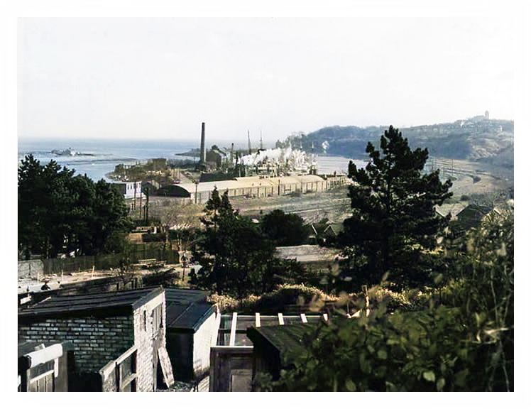 c.1959 - A view of Penarth Dock and the River Ely estuary with Penarth Head to the right taken from the Allotment Gardens near The Lodge situated on the old road to the Merry Harrier.