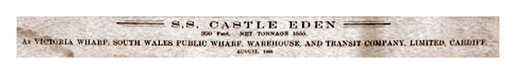 s.s. 'Castle Eden' 350 feet, Net Tonnage 1,555 at Victoria Wharf, South Wales Public Wharf, Warehouse and Transit company, Limited, Cardiff. August 1888. 