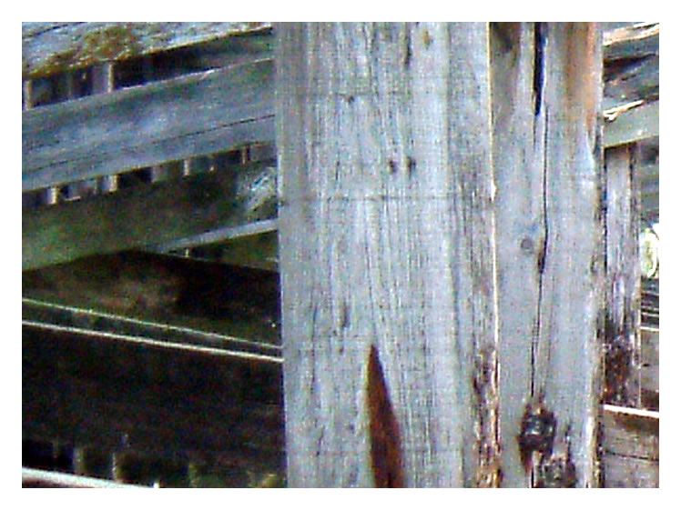 Timbers of iron ore wharf - Ely Tidal Harbour, Penarth Dock
