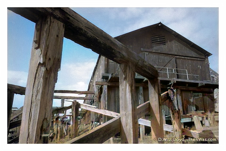 The imposing timbers from the old dolphins and quays of the River Ely Tidal Harbour.