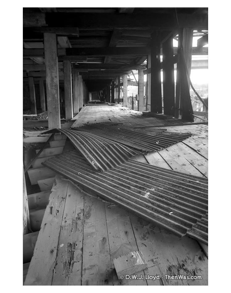 The collapsing pathway underneath the black corrugated iron warehouse.