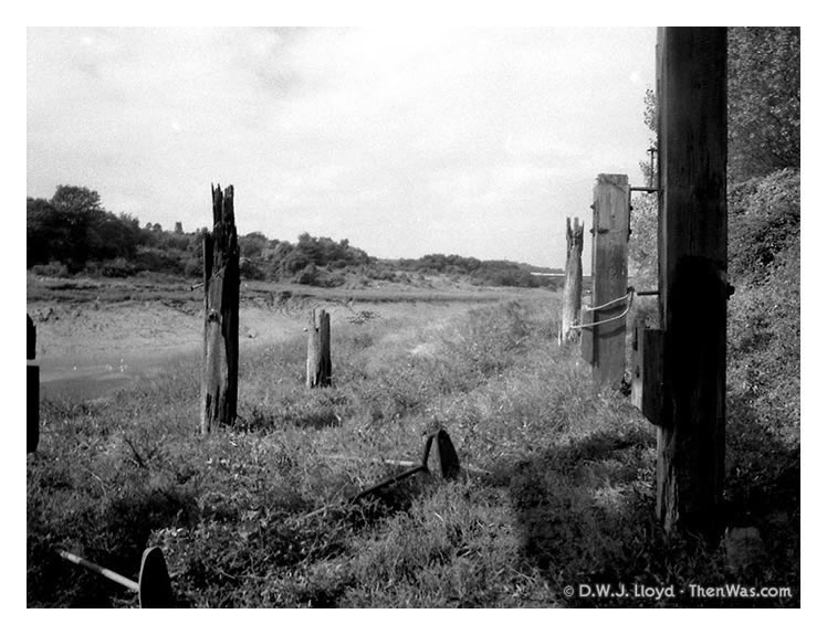 Rotting mooring posts on the one side of the River Ely Tidal Harbour.