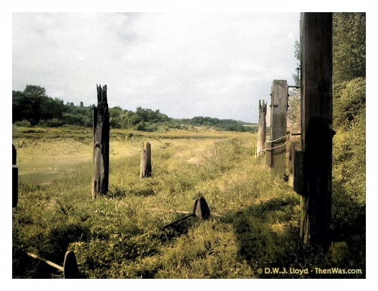 Rotting mooring posts on the one side of the River Ely Tidal Harbour.