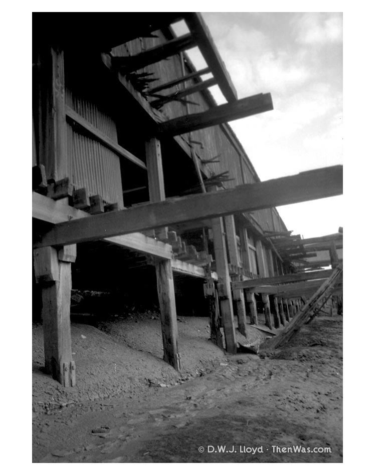 The view up from the river bank.