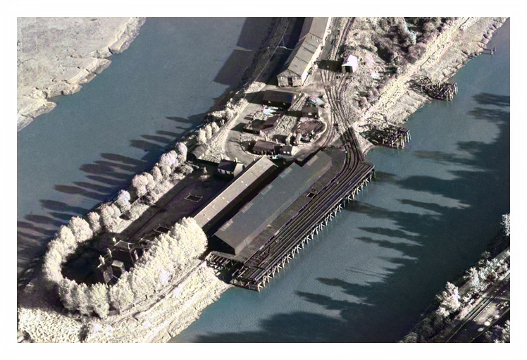 1955 - An aerial view of the meandering River Ely with the Victoria Wharf of the South Wales Warehouses Limited and associated warehouse and rail facilities. 