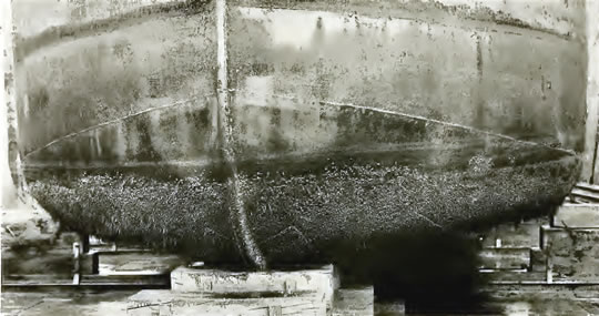 encrustation of ship's hulls