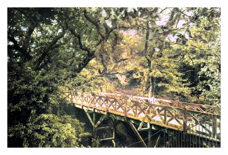 The Dingle, Alexander Park, Penarth