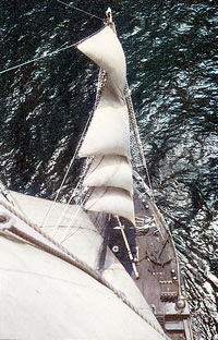 The view from the 'Pamir' fore royals