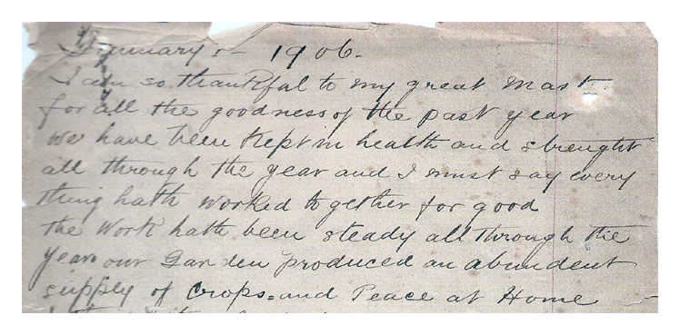 Extract from the diary of William Mules from 1906 - Penarth Dock