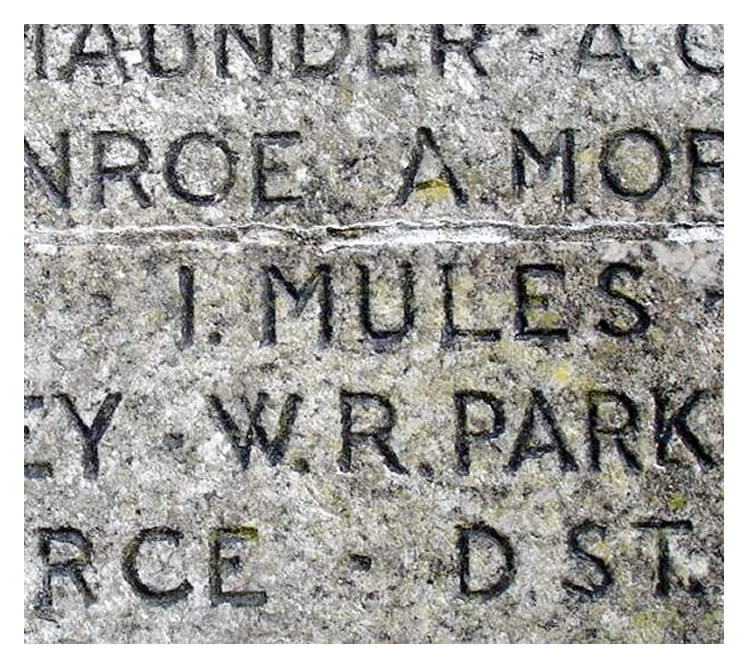 Ivor Mules - Penarth War Memorial