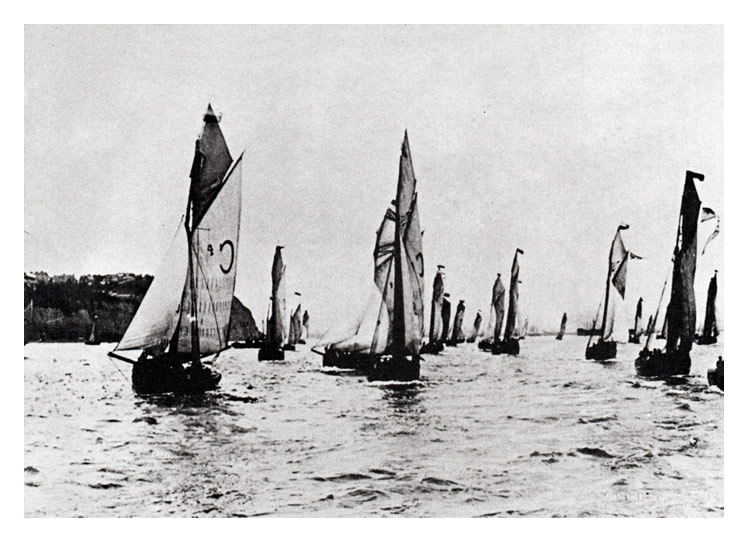 Pilot Cutters racing off Penarth Head - early 1900's