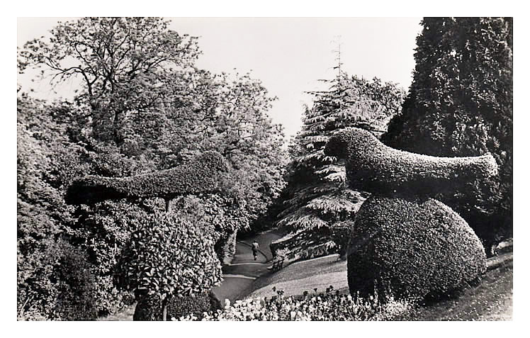 Alexandra Gardens, Penarth