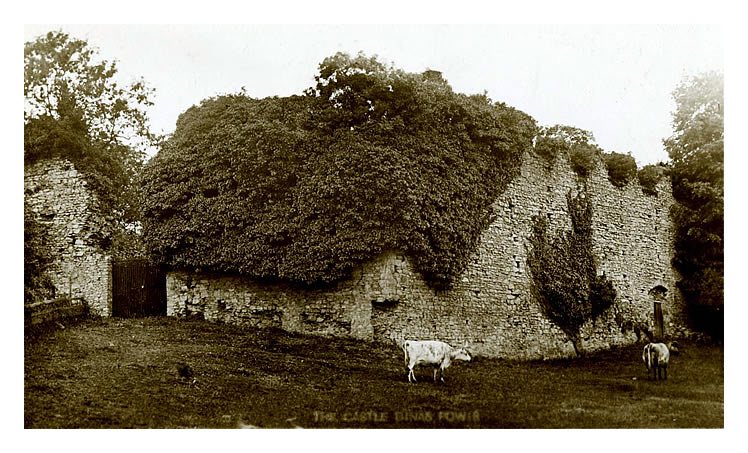 The Castle, Dinas Powis.