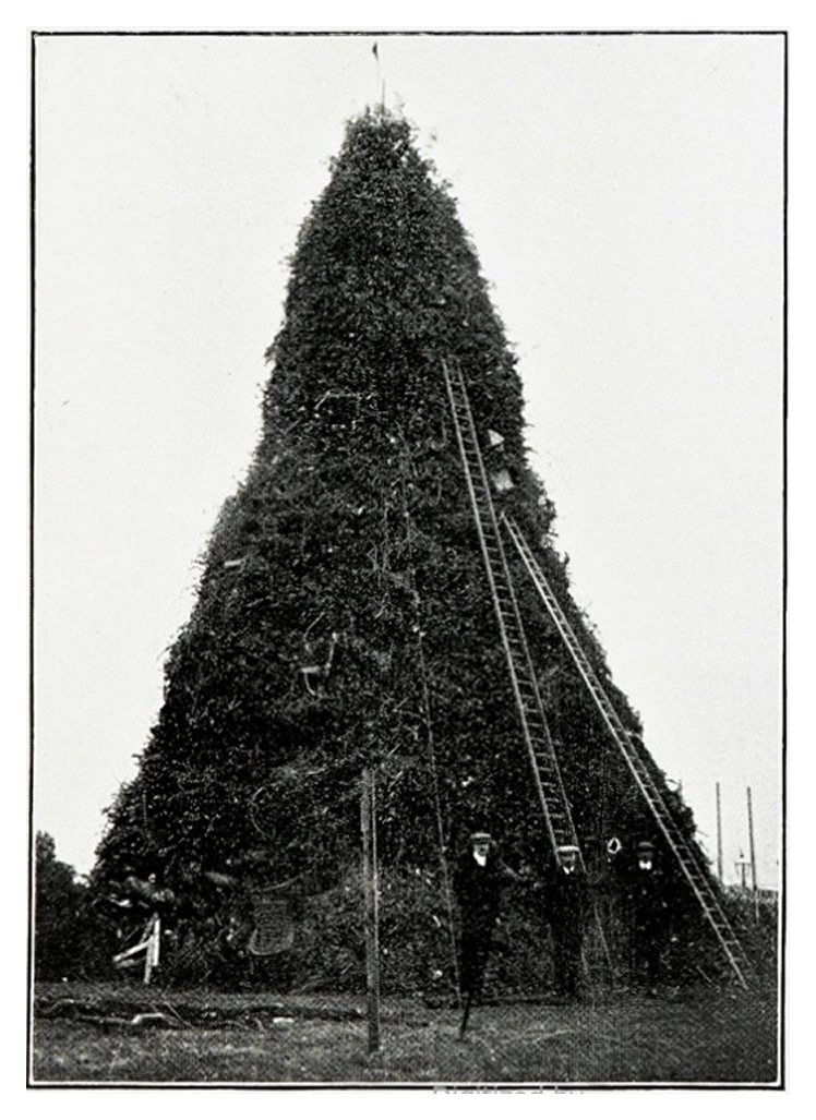 A photograph taken from 'The book of the Coronation Bonfires'