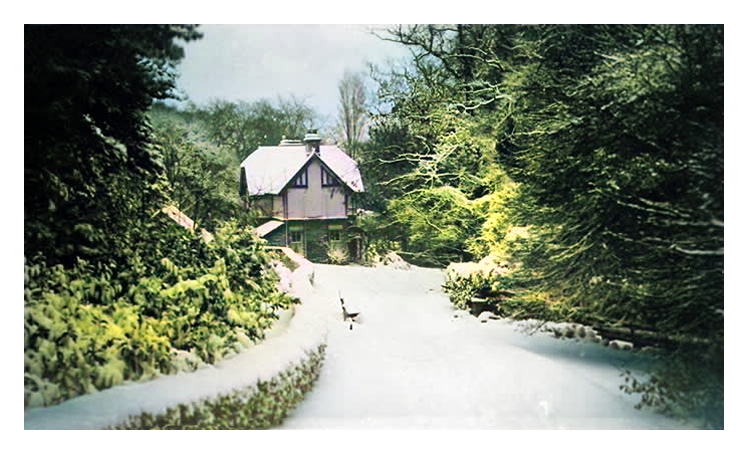 'Alexandra Park, Penarth - With Best Wishes'.