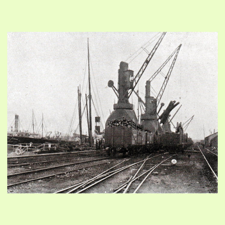 Timber Tips Unloading, Barry Docks from 107 Views of Cardiff and District