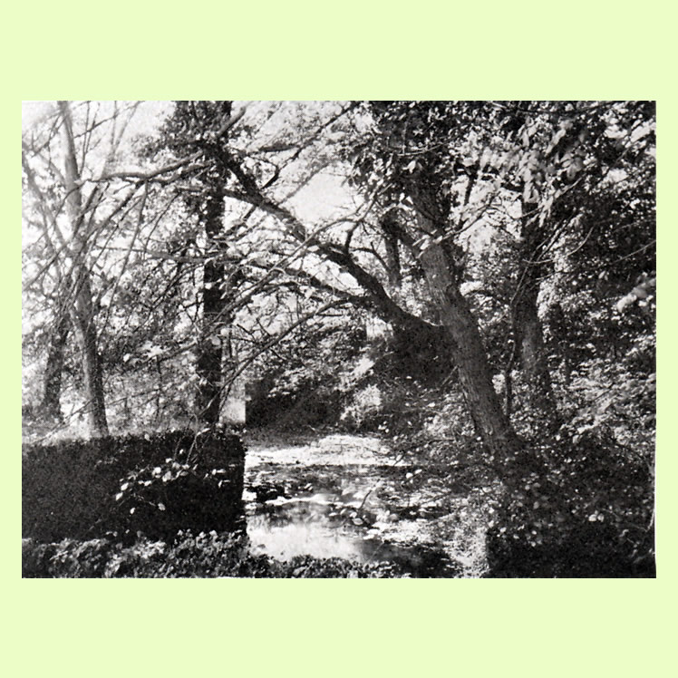 The Mill Stream, Dynas Powis from 107 Views of Cardiff and District
