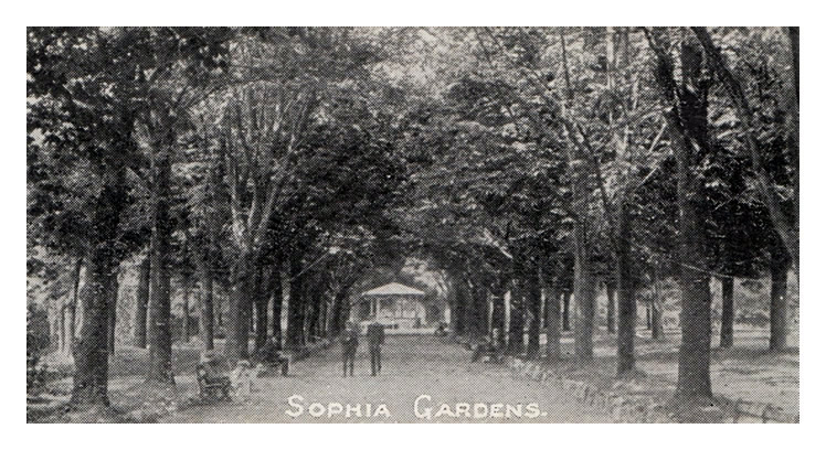 'Sophia Gardens' - " The Pocket Novelty Card - Just arrived in Cardiff "