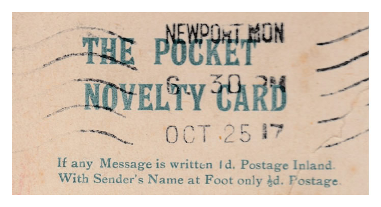 'Bute Docks' - " The Pocket Novelty Card - Just arrived in Cardiff "
