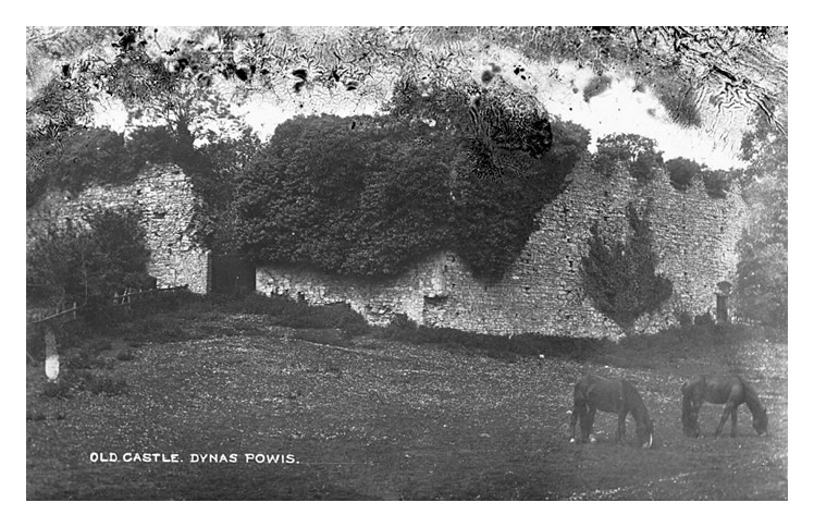 Old Castle - Dynas Powis c.1905.