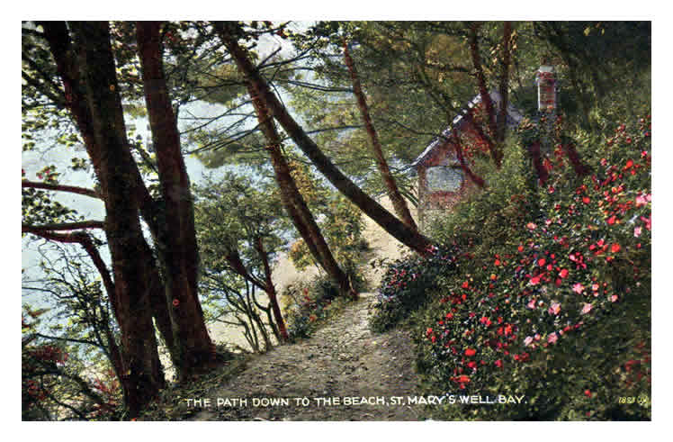 The Path Down to The Beach, St. Mary's Well Bay. 