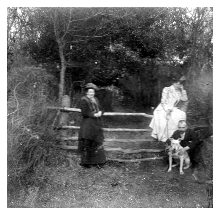 1910 - Dinas Powis - A stereoview of a family at a rustic stile somewhere in Dinas Powis.