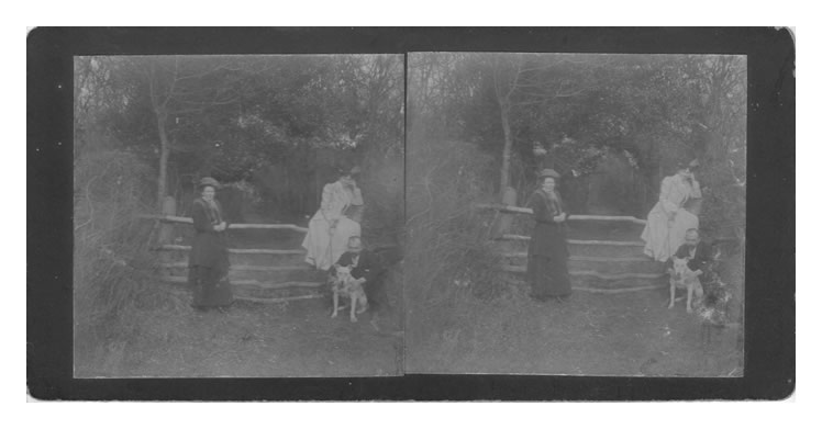 1910 - Dinas Powis - A stereoview of a family at a rustic stile somewhere in Dinas Powis.