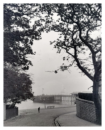 The Penarth Pier from Alexandra Park.