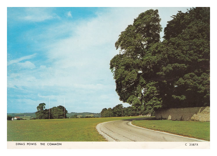 Dinas Powis, The Common.