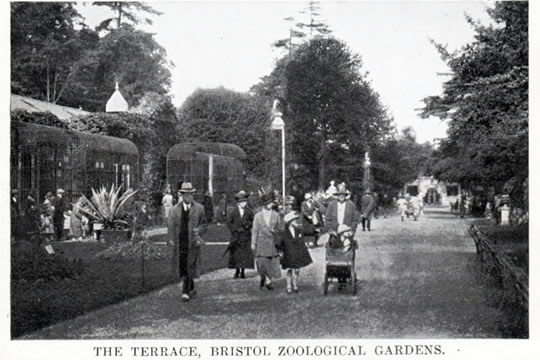 The Terrace, Bristol Zoological Gardens.