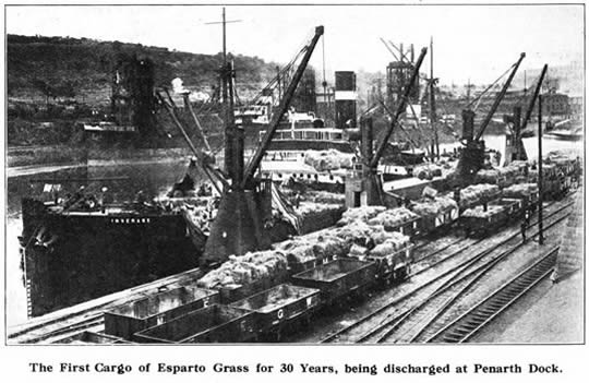 The first cargo of esparto grass for 30 years, being discharged at Penarth Dock.